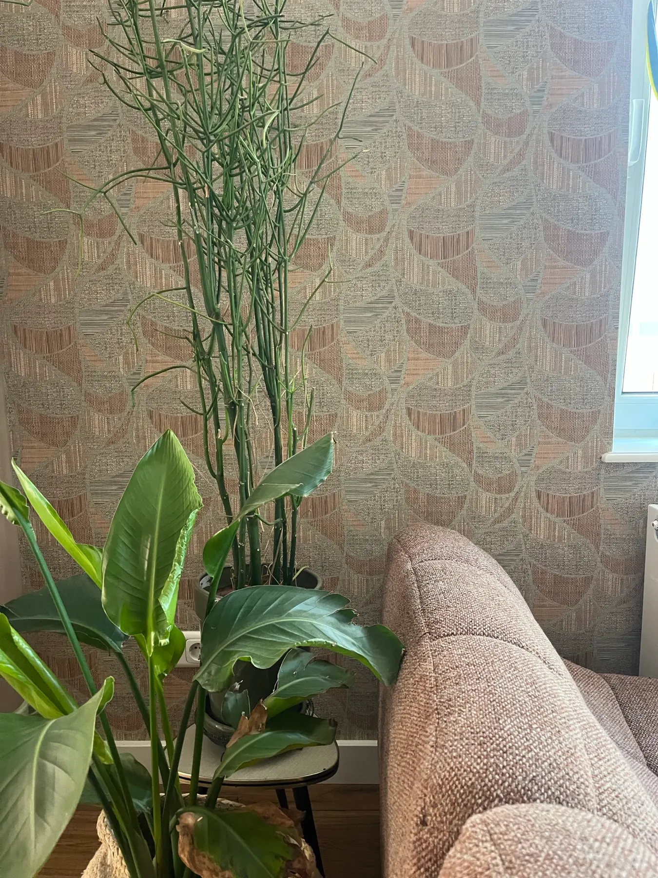 Detail van het behang met planten en bouclé bank